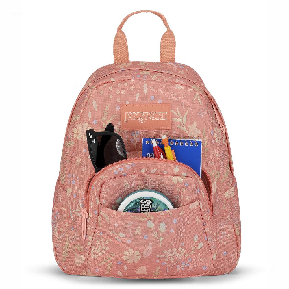 Sac à Dos Scolaire JanSport HALF PINT MINI Rose | MEA-29825813